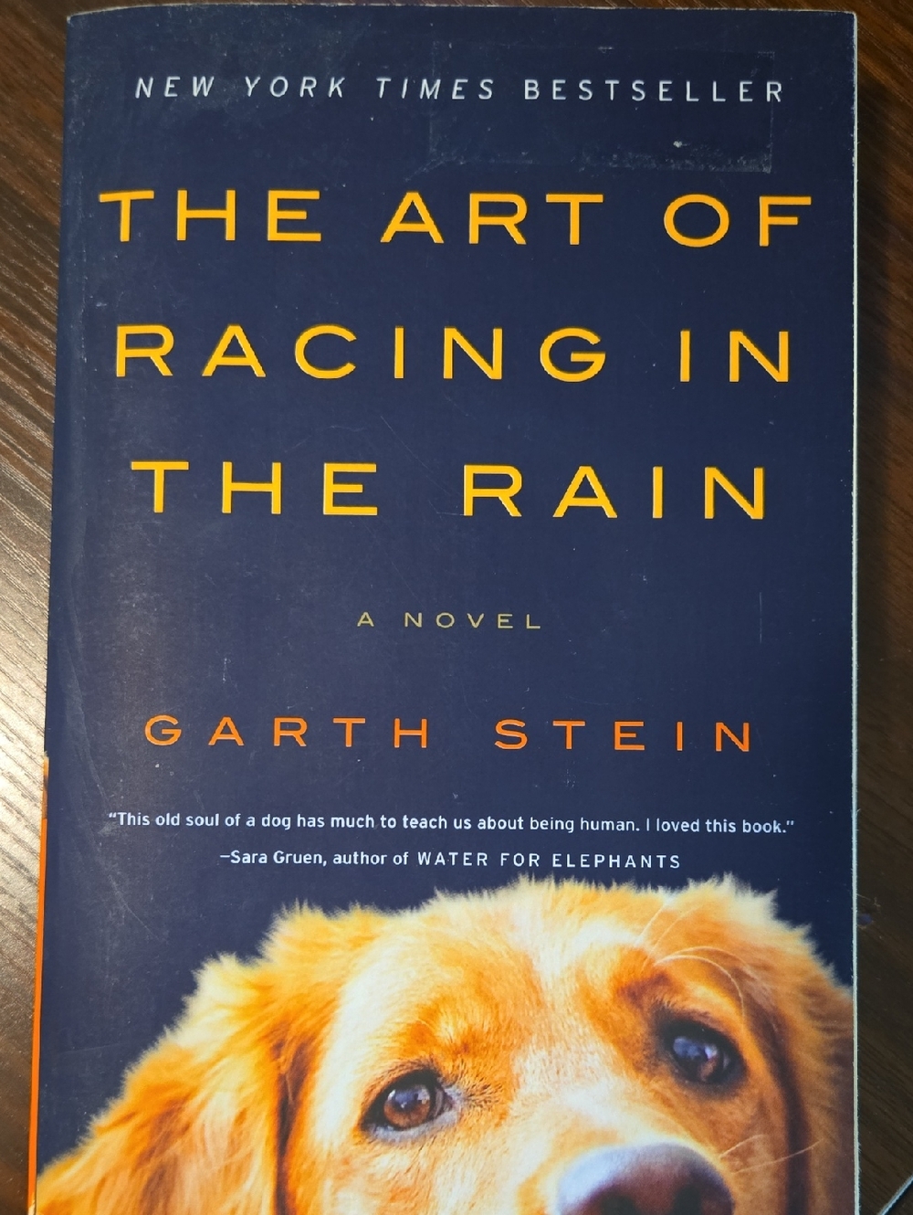 Paperback Book "The Art Of Racing In The Rain" By Garth Stein